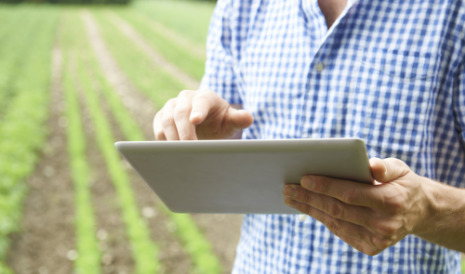 Fotografía de una persona buscando información en una tablet